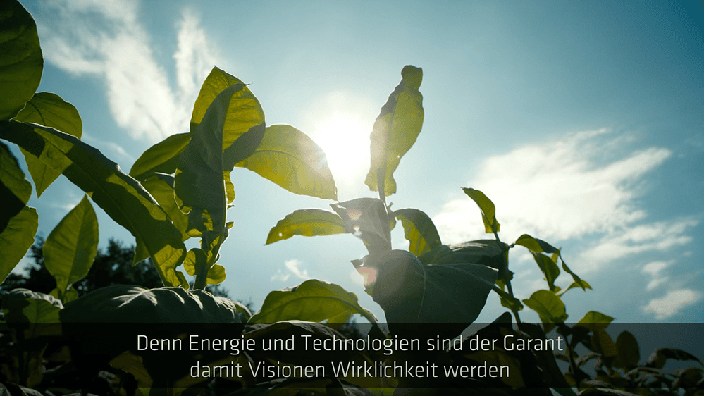 Über uns | e.optimum AG