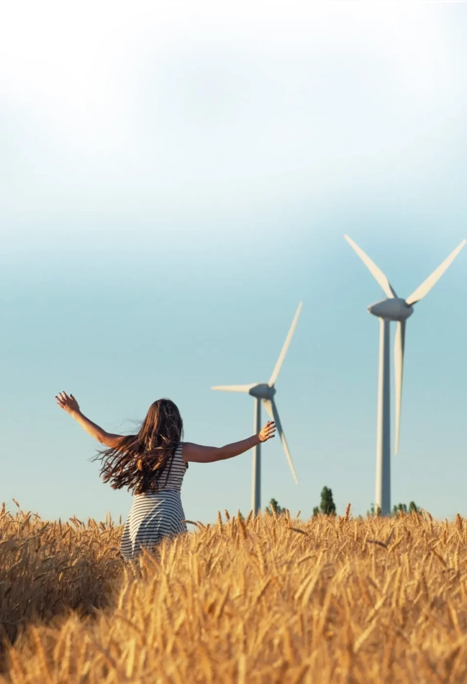 clean energy Foerderprogramm